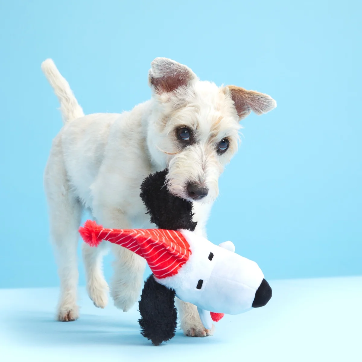 Skating Snoopy Tug Dog Toy - Image 2