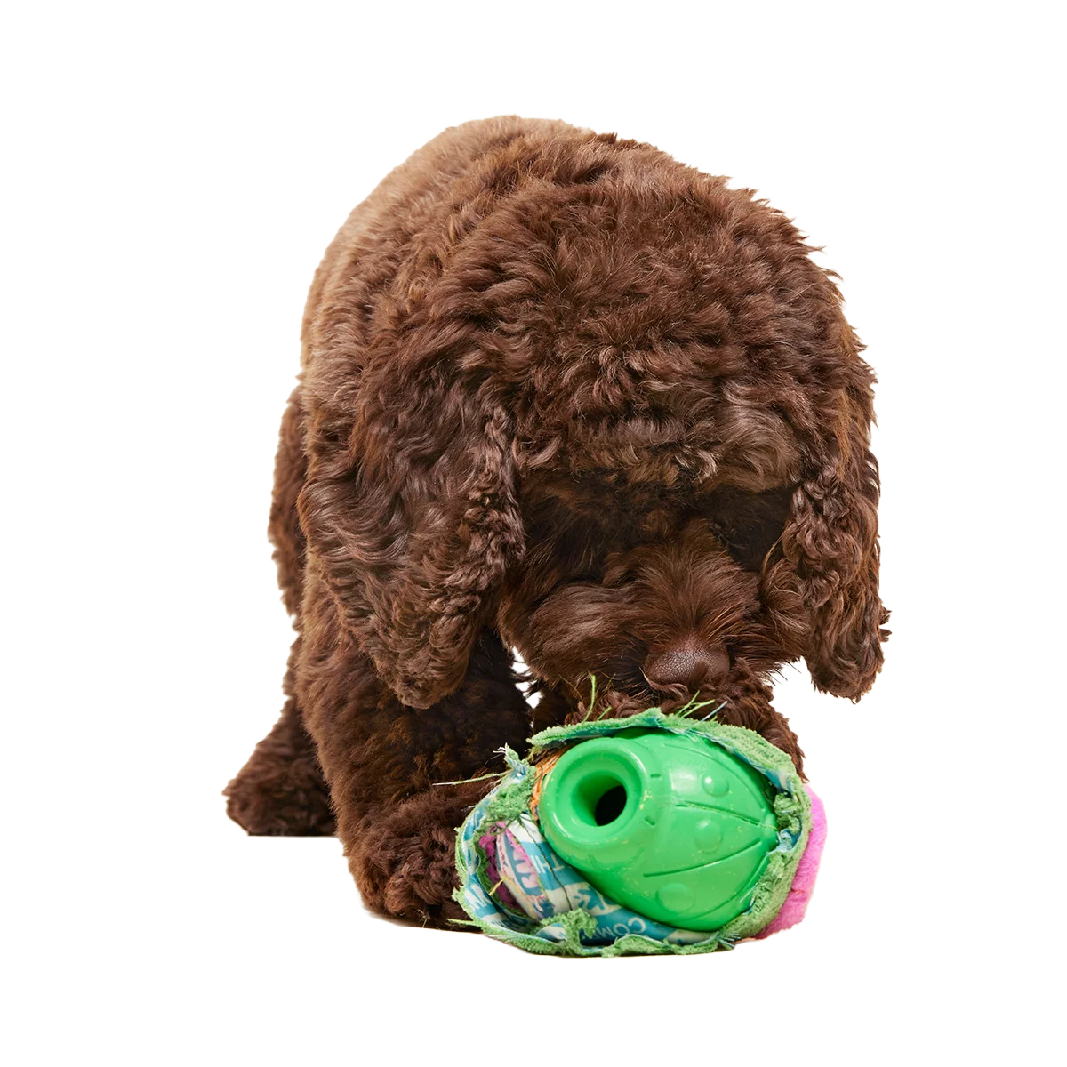 Snactus Super Chewer Durable 2-in-1 + Enrichment Dog Toy - Image 3