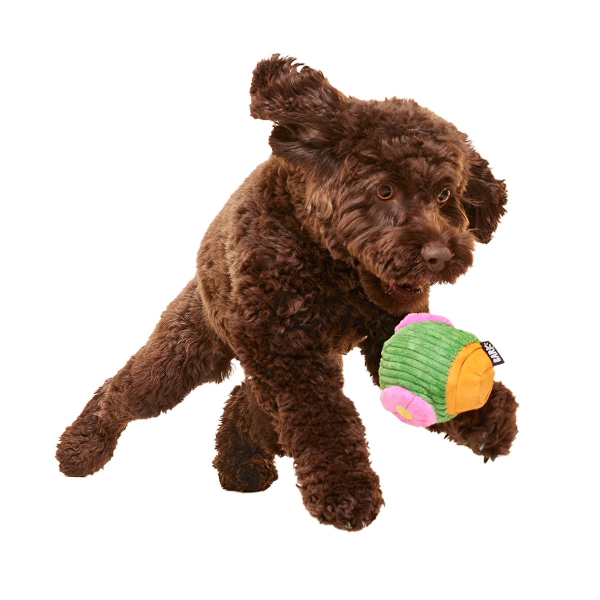 Snactus Super Chewer Durable 2-in-1 + Enrichment Dog Toy - Image 4