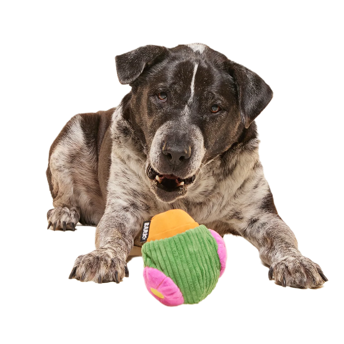 Snactus Super Chewer Durable 2-in-1 + Enrichment Dog Toy - Image 5
