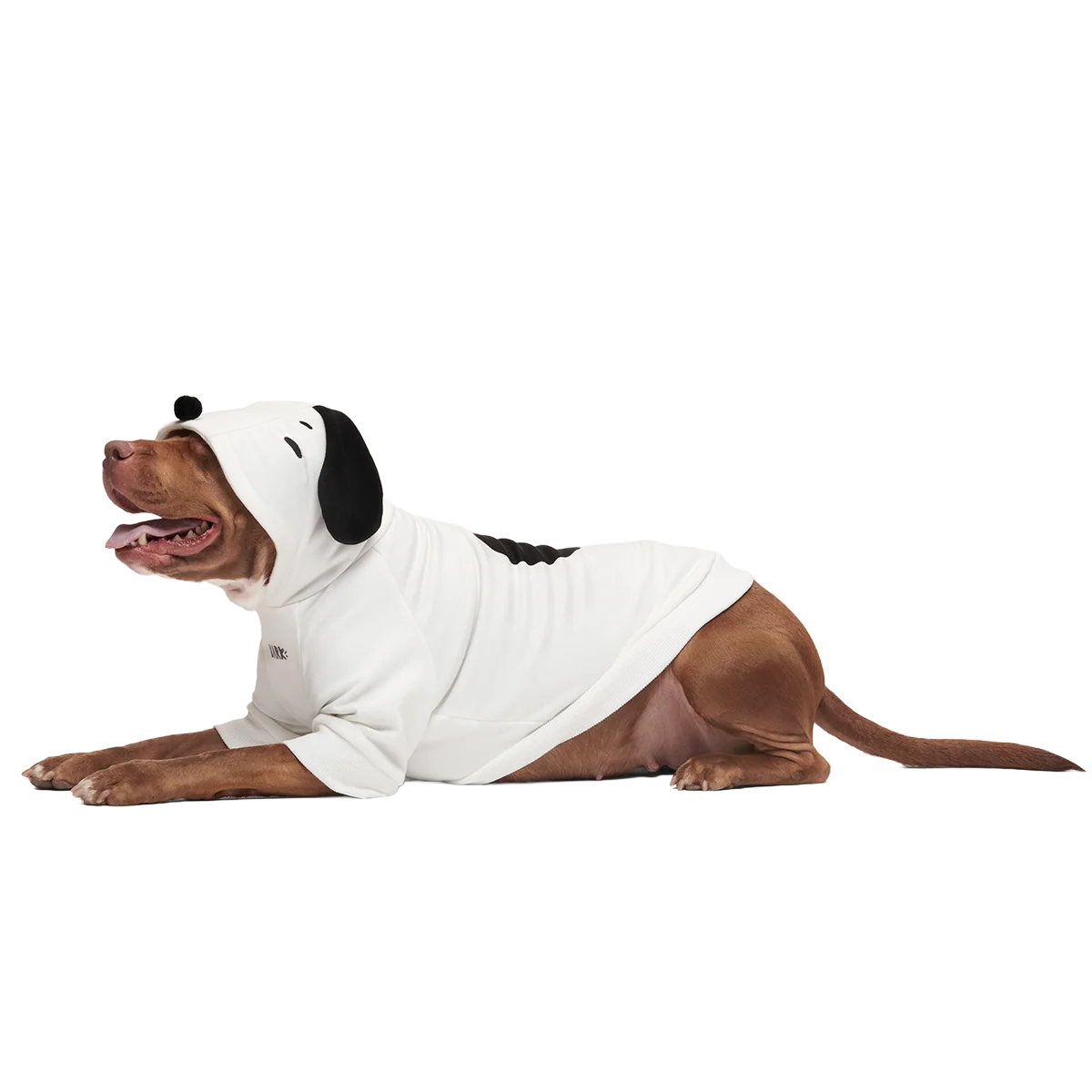 Snoopy Dog Hoodie - Image 5