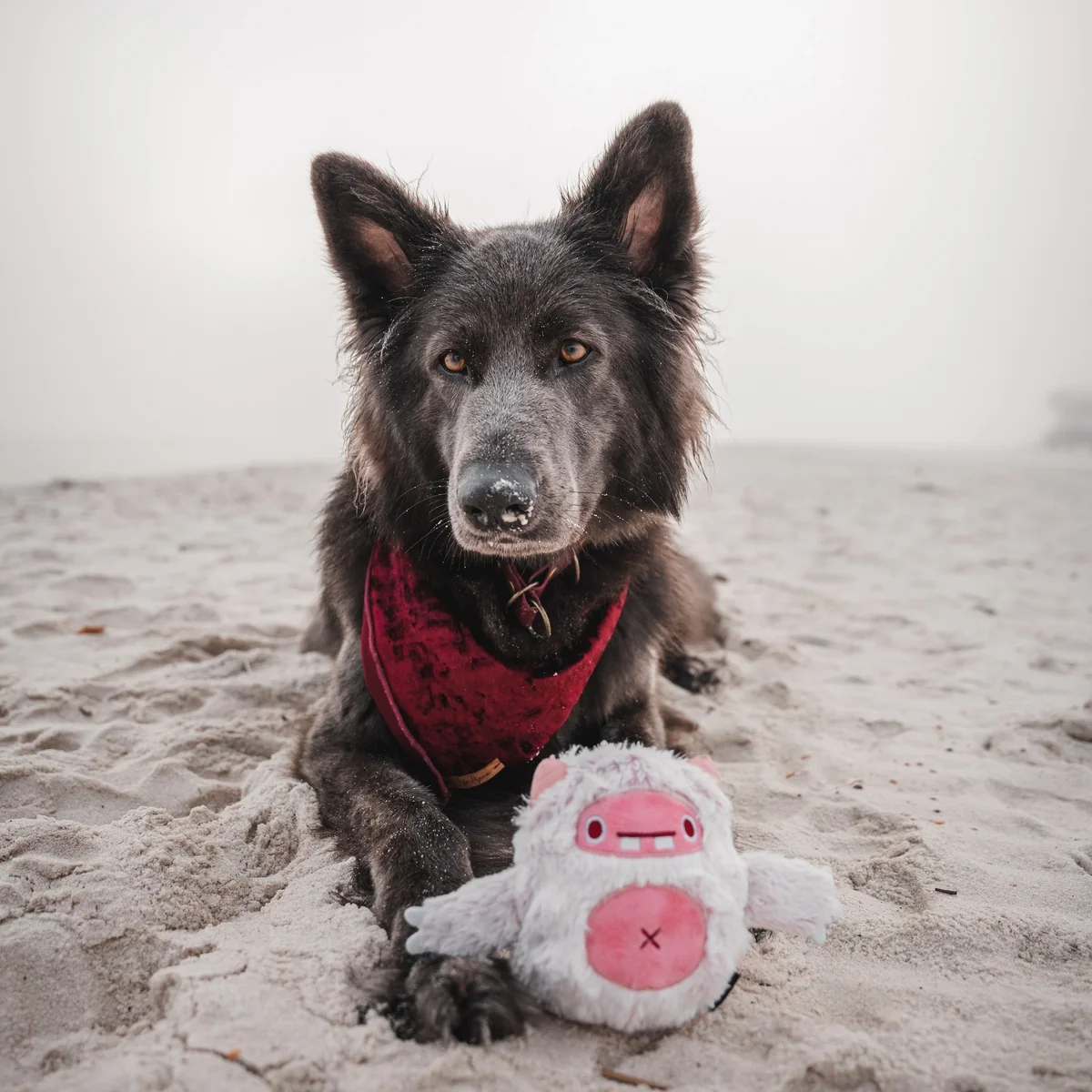 Snuglor Durable Super Chewer 2-in-1 Rip and Reveal + Enrichment Dog Toy - Image 5