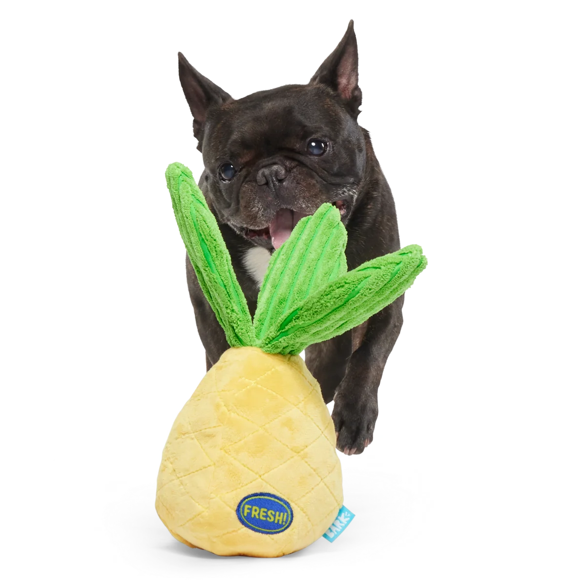 Spiky Pineyapple Plush Tug Dog Toy - Image 2
