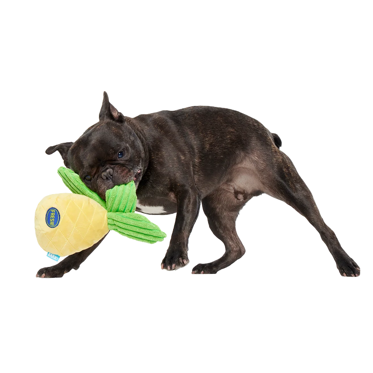 Spiky Pineyapple Plush Tug Dog Toy - Image 3