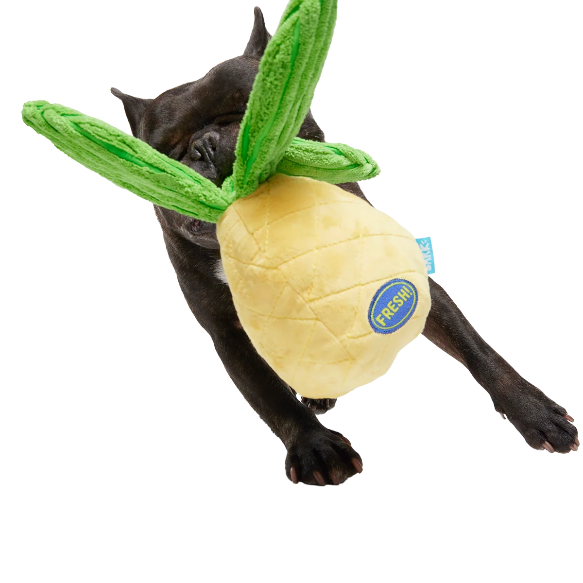 Spiky Pineyapple Plush Tug Dog Toy - Image 4