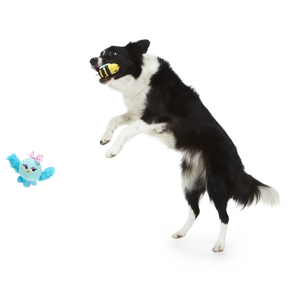 Spring Fling Plush Multi-Part + Fetch Dog Toy - Image 3