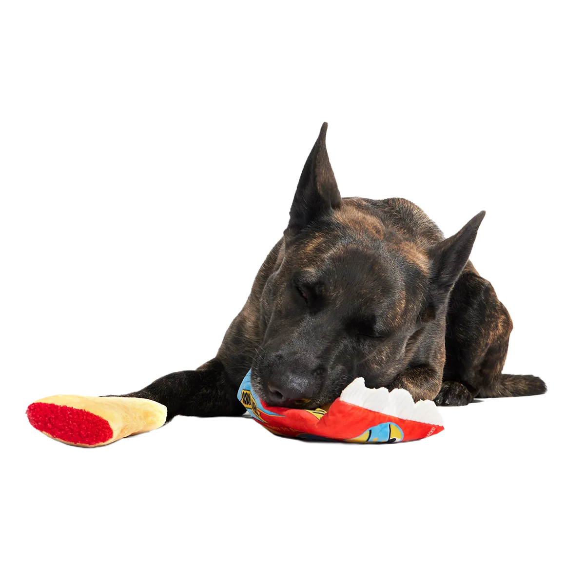 Squeak Lovers Pizza Snacks Plush Multi-Part + Enrichment Dog Toy - Image 4