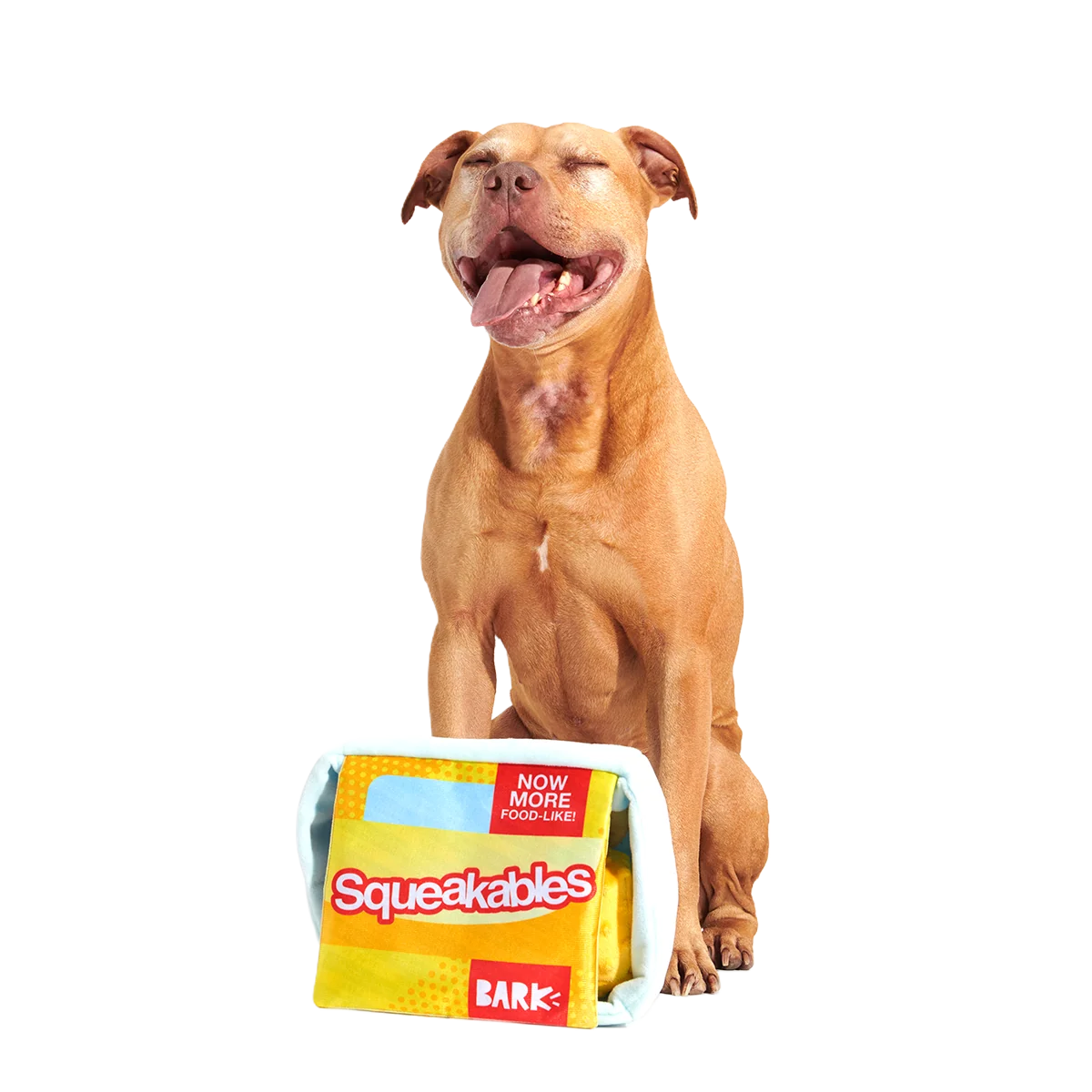 Squeakables Plush Multi-Part + Enrichment Dog Toy - Image 5