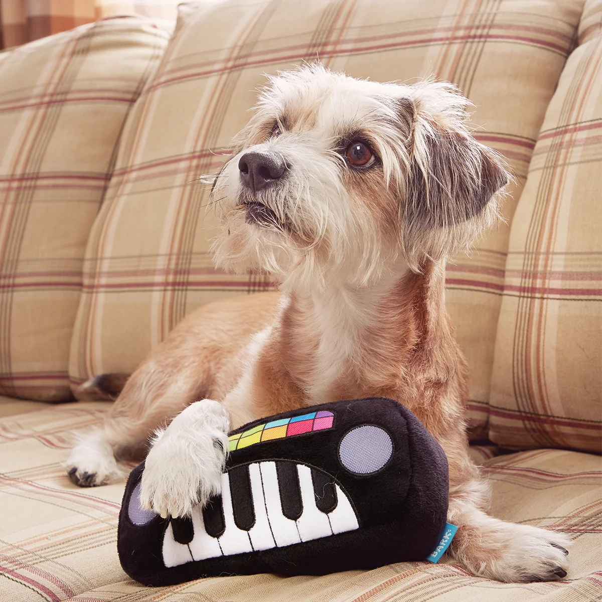 Squeaky Wonder Keyboard Plush Dog Toy - Image 4