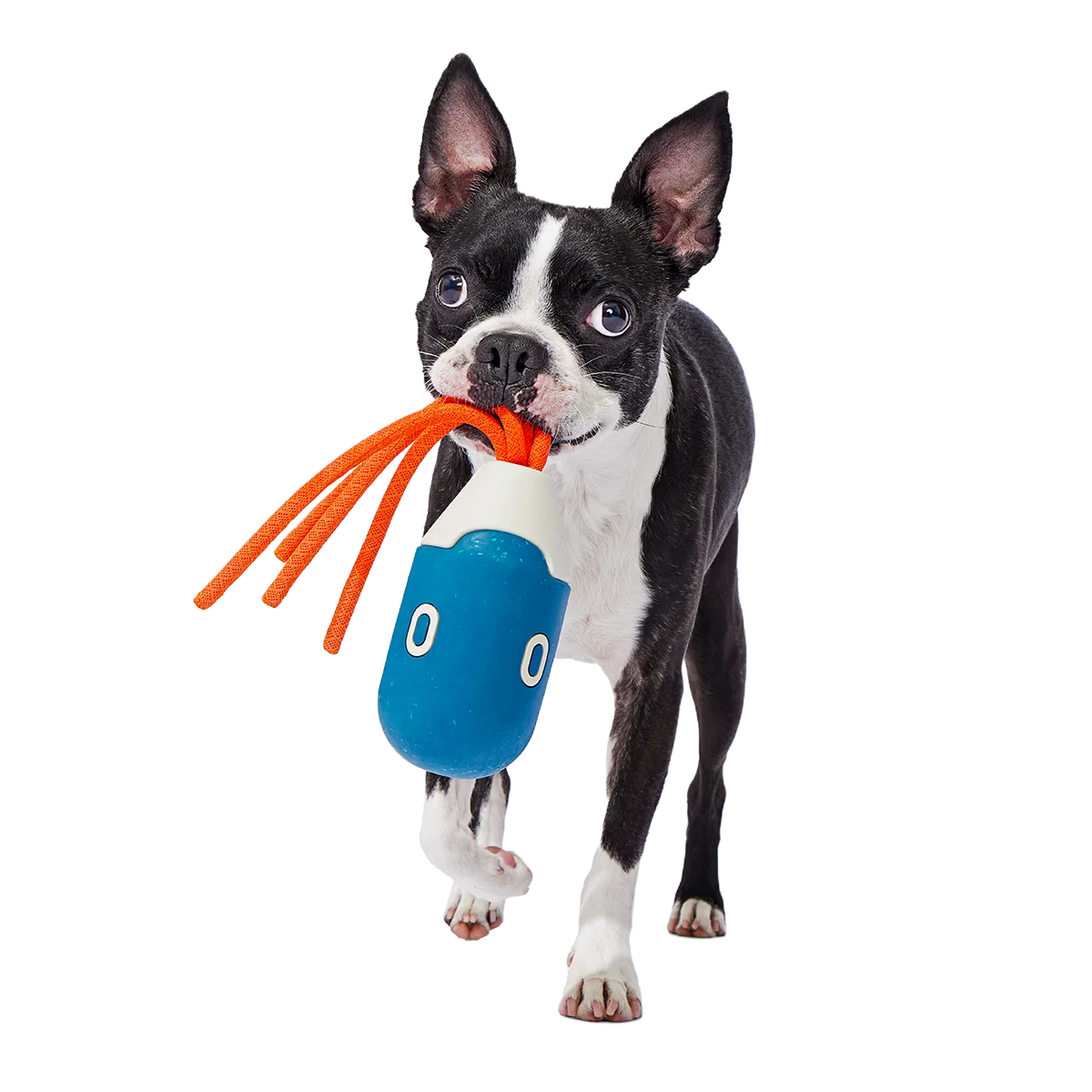 Squidwhip Super Chewer Durable Tug Dog Toy - Image 2