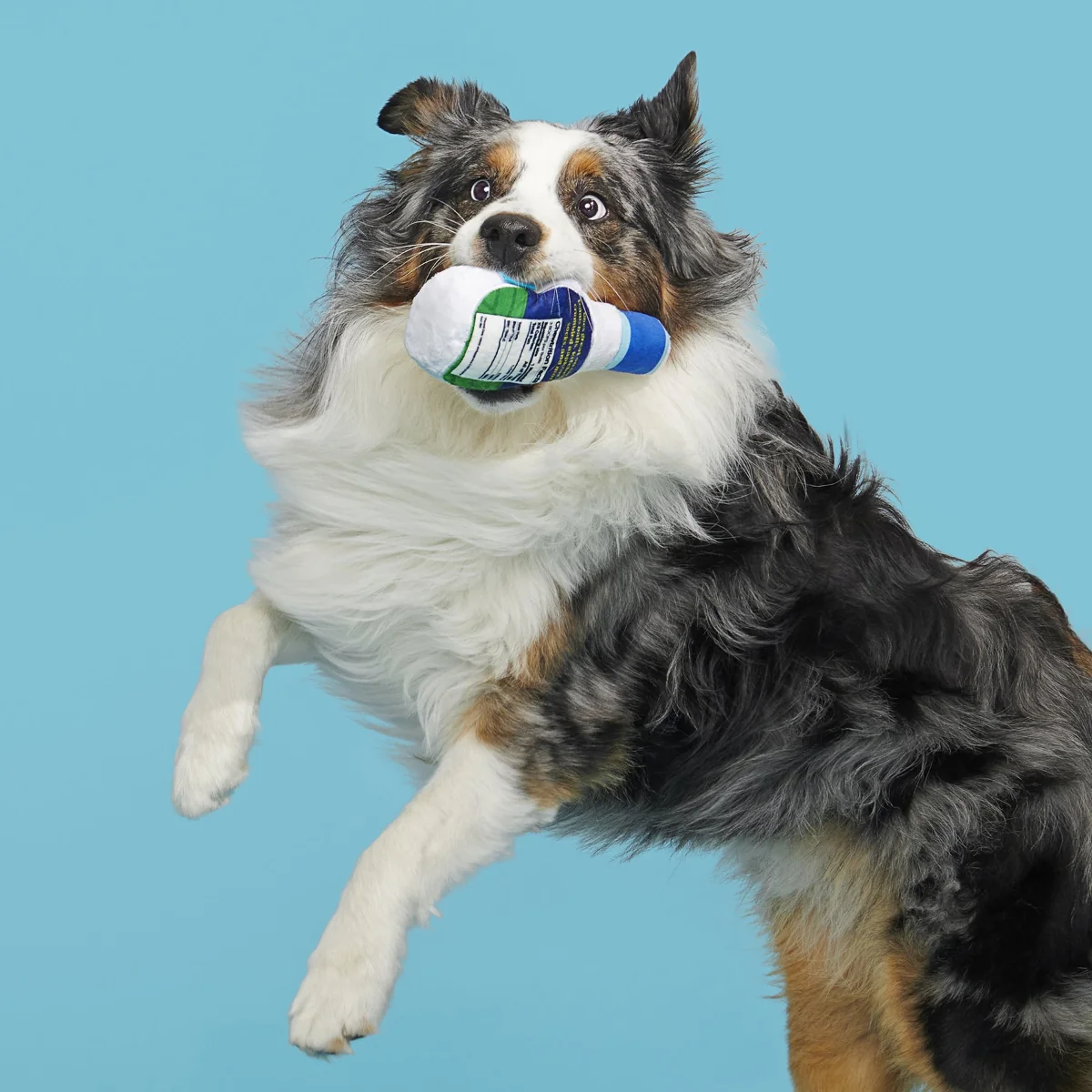 Stinky Valley Ranch Plush Tug Dog Toy - Image 6