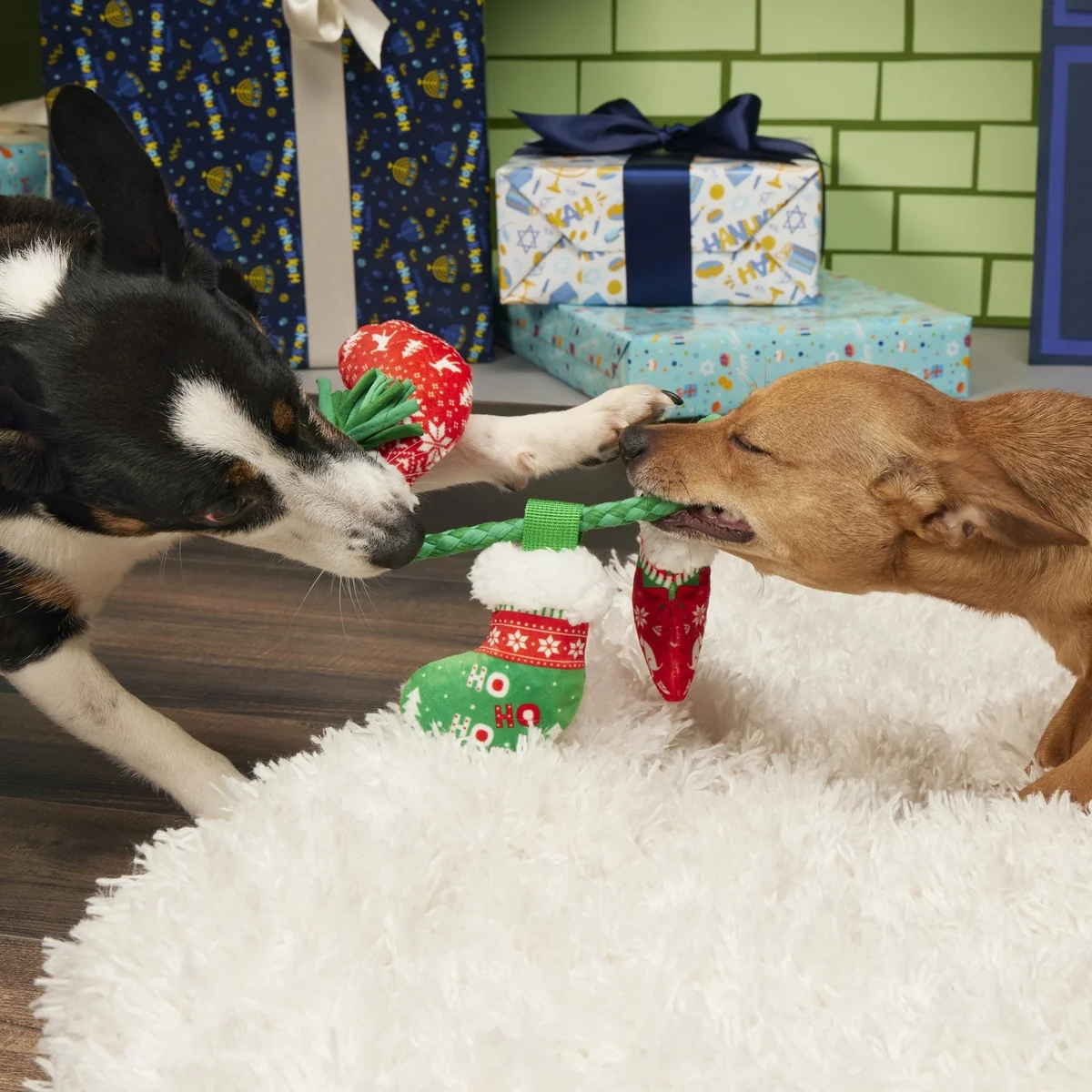 Stocking Tuggers Plush Tug Dog Toy - Image 3