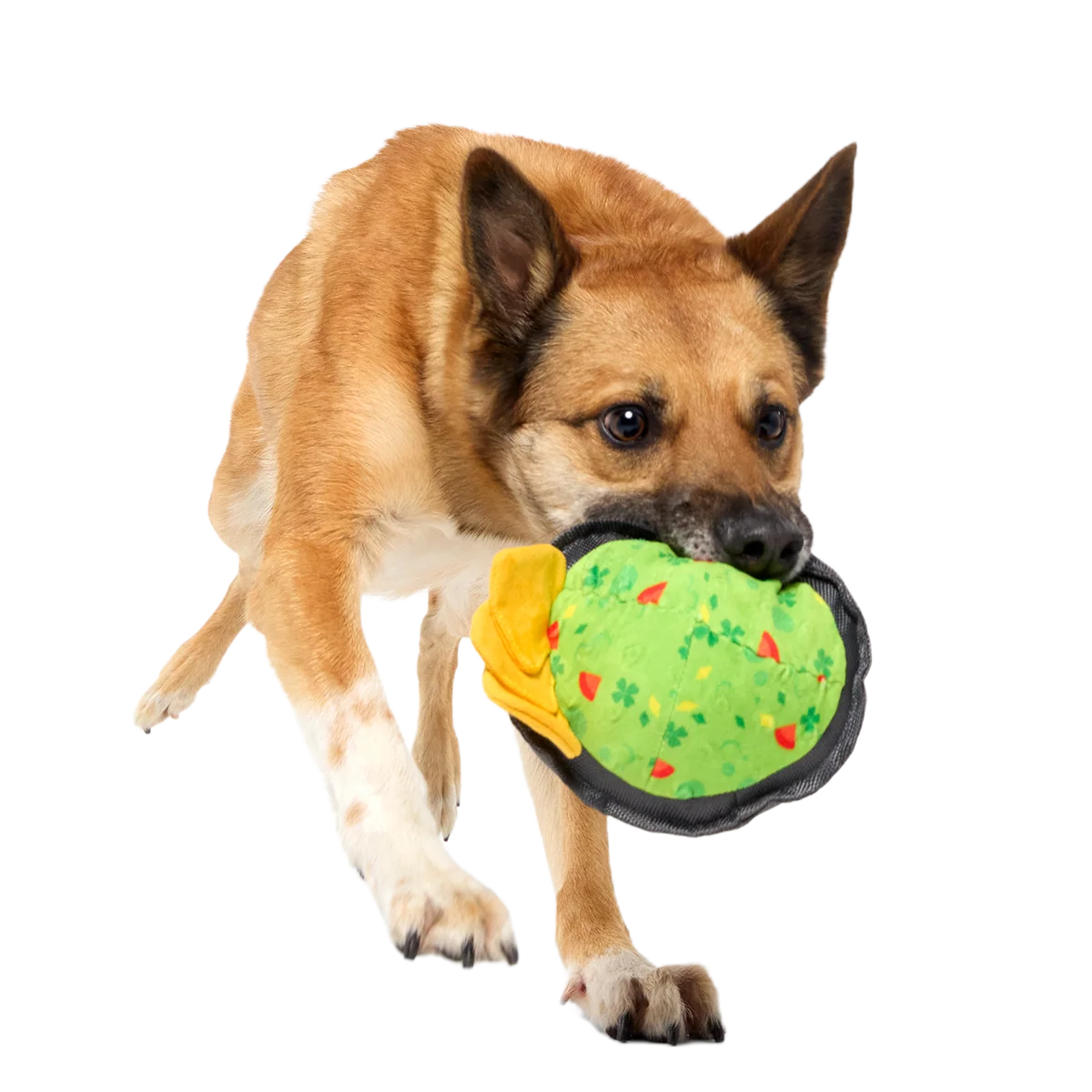 Stop, Guac, & Mole Plush Tug Dog Toy - Image 7