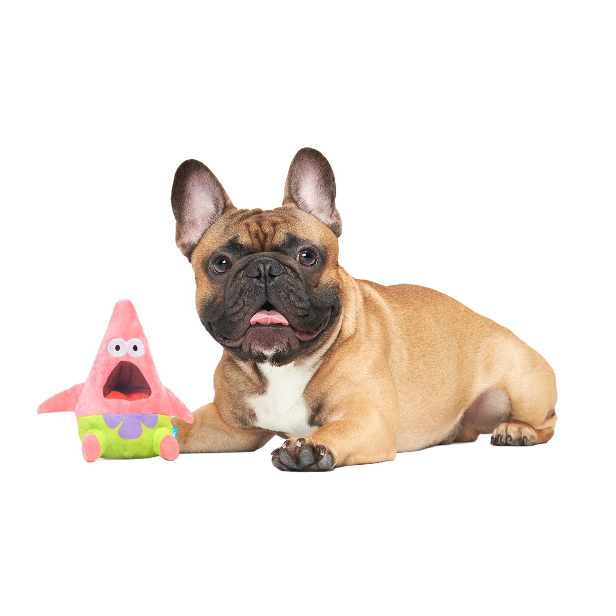 Surprised Patrick Plush Enrichment Dog Toy - Image 4