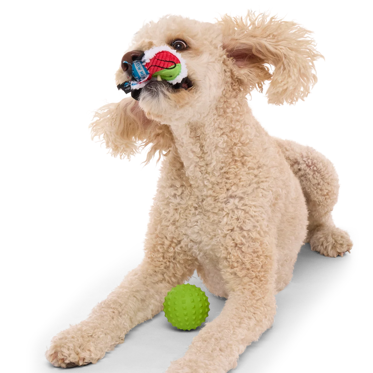 Sushi Roller Super Chewer Durable 2-in-1 + Fetch Dog Toy - Image 2