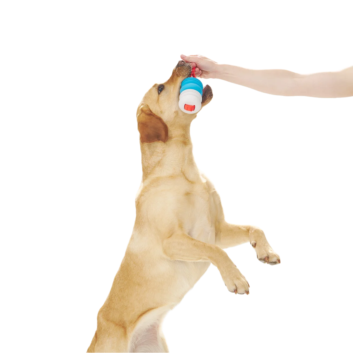 Swimming Pull Super Chewer Durable Tug Dog Toy - Image 4