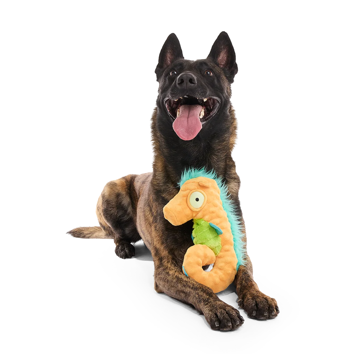 Swirlin Shirley the Seahorse Plush Tug Dog Toy - Image 2