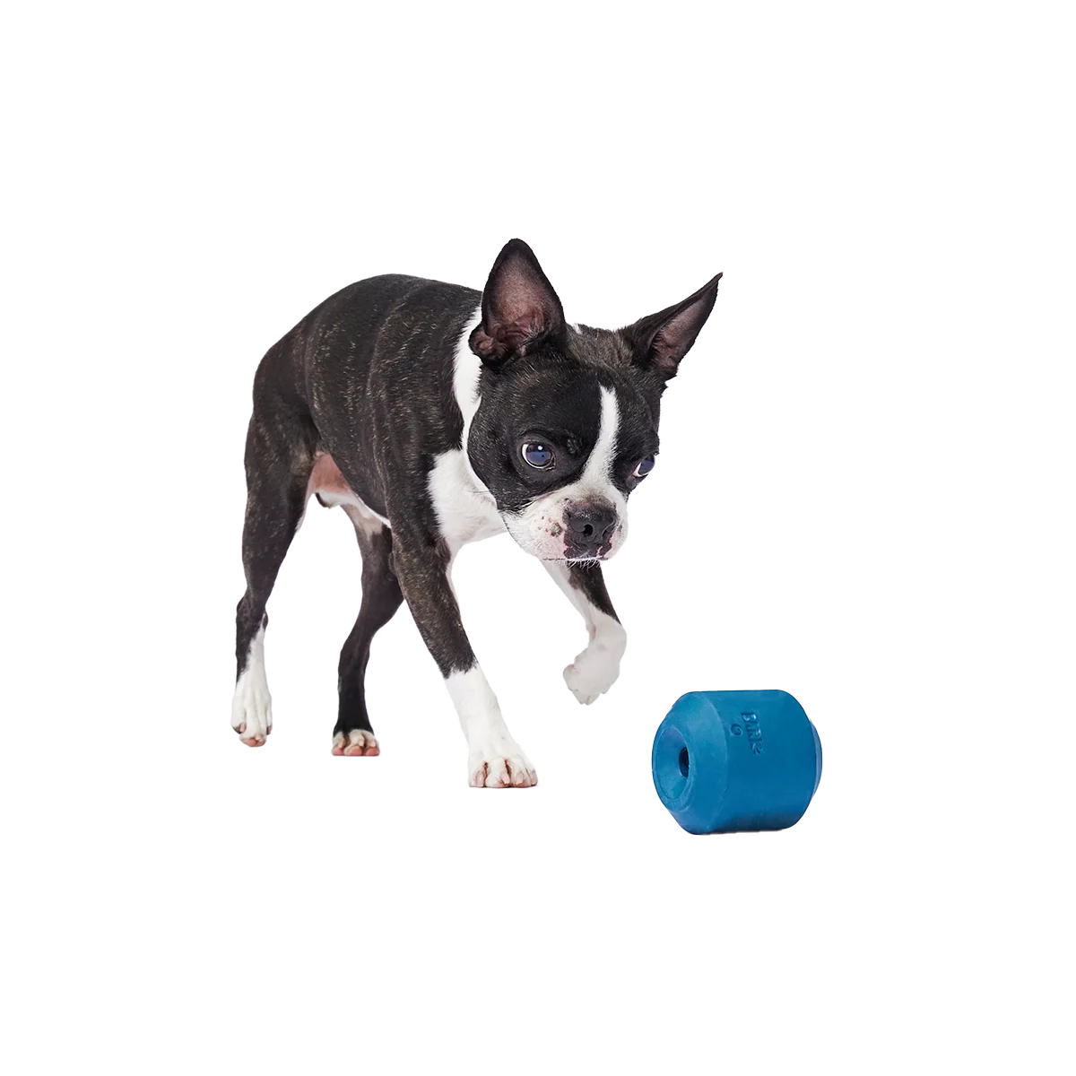 Tank Super Chewer Durable Enrichment Dog Toy - Image 6