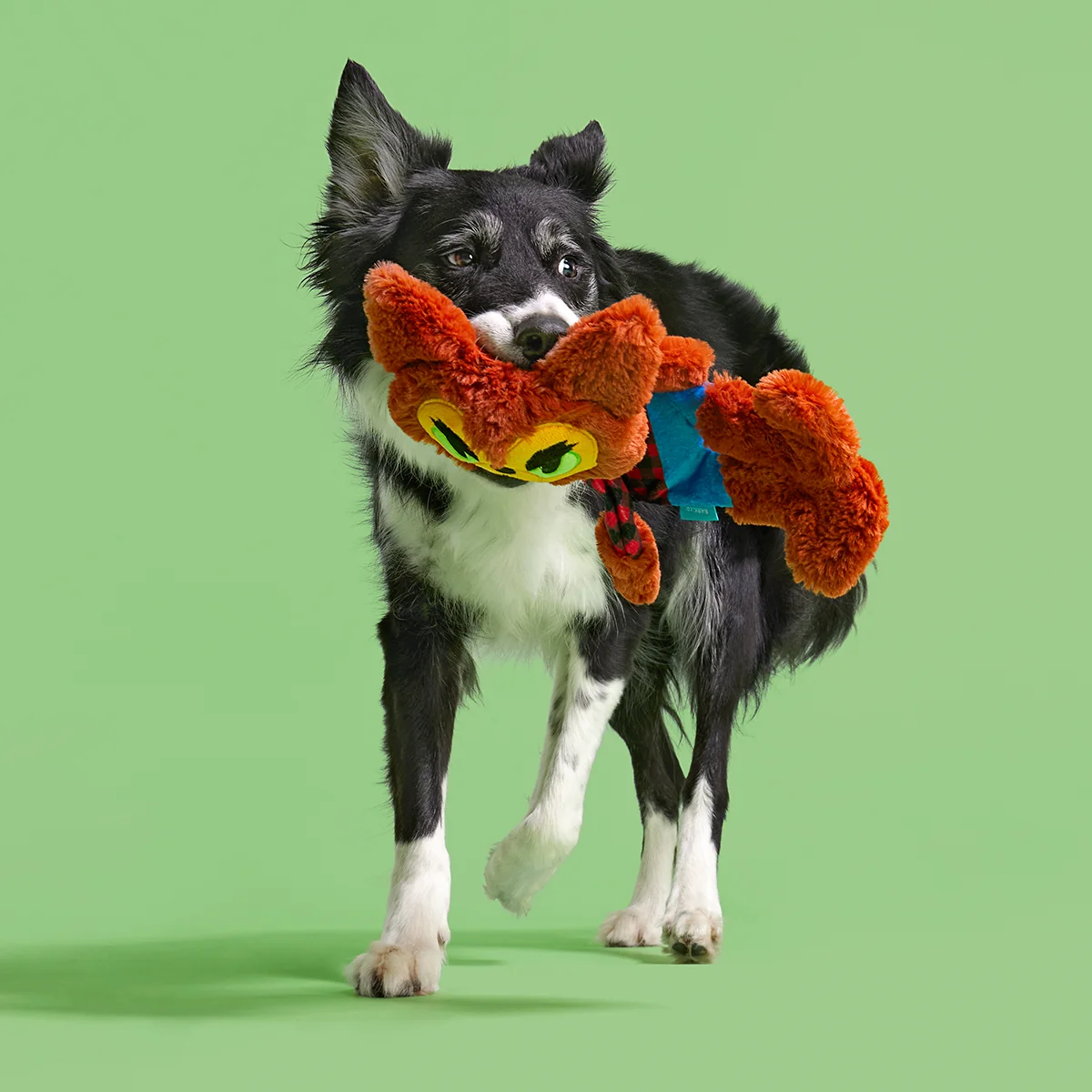 Teen Woof Plush Extra-Large + Tug Dog Toy - Image 5