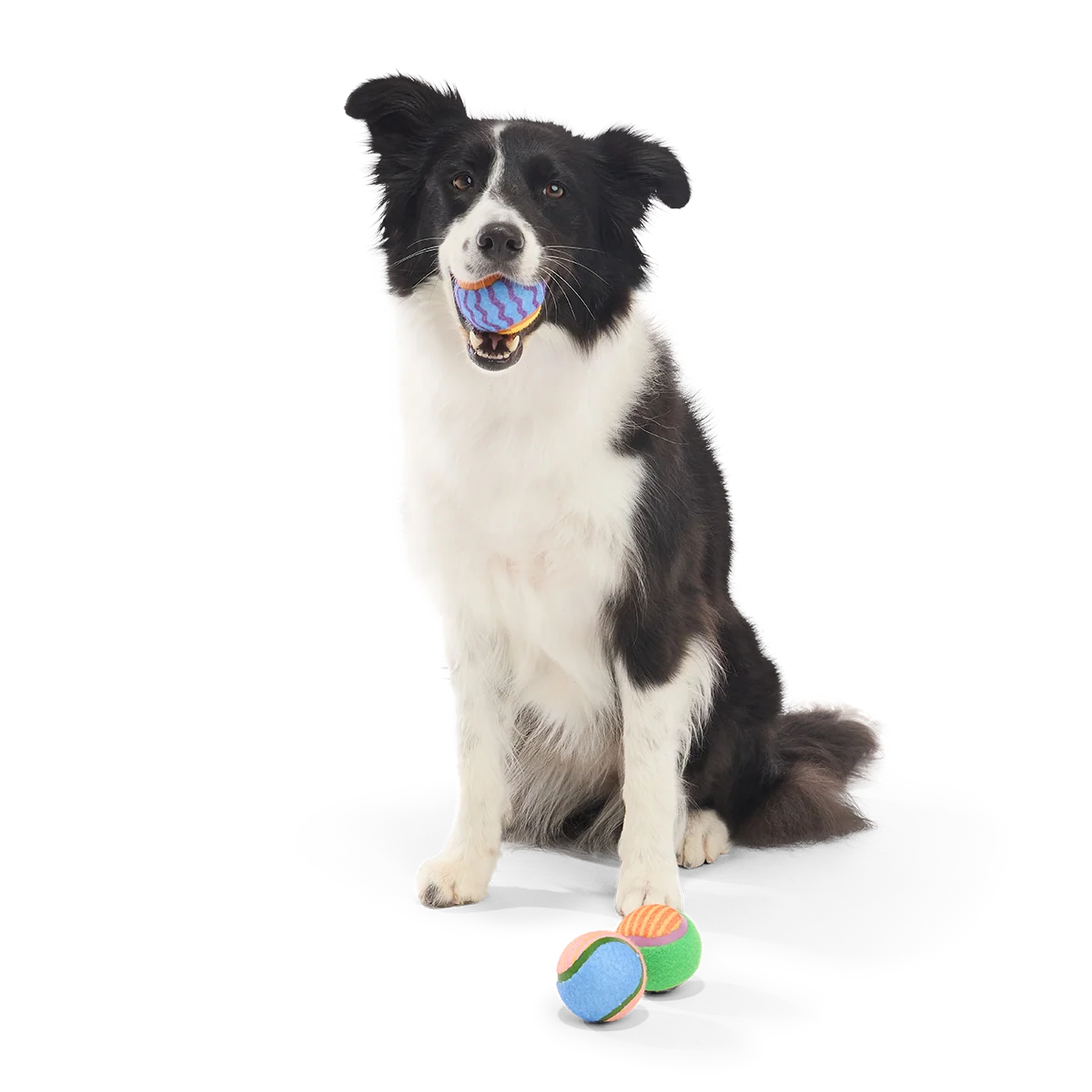 Tennis Ball Club, 3 Squeaky Monthly Tennis Ball Dog Toys - Image 3