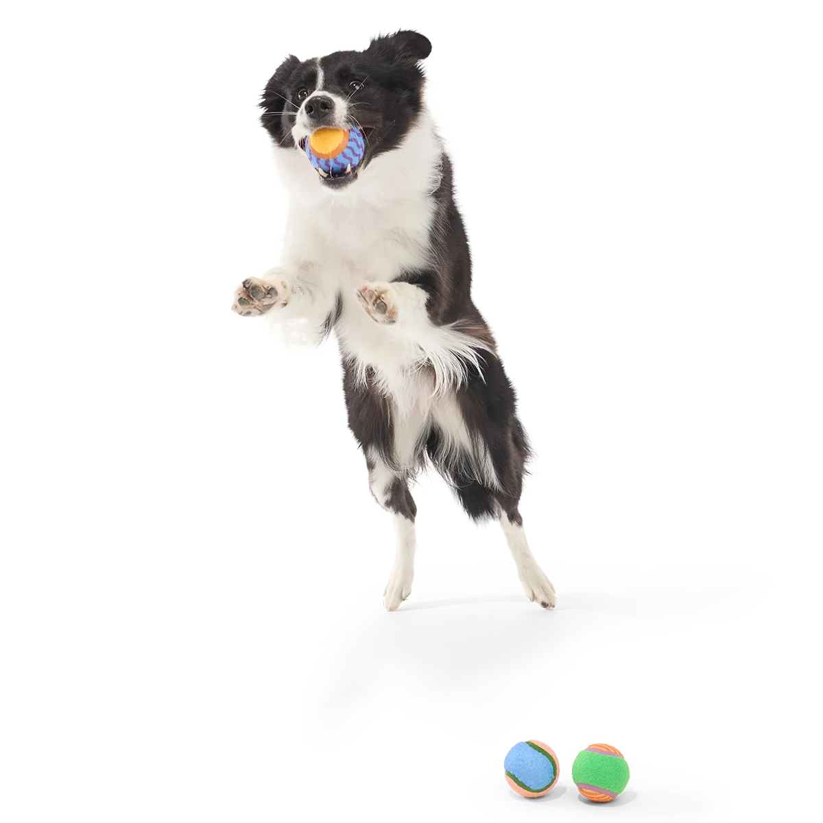 Tennis Ball Club, 3 Squeaky Monthly Tennis Ball Dog Toys - Image 4