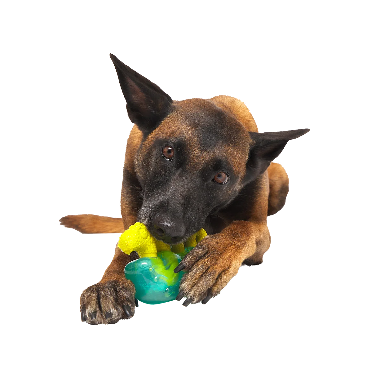 The Dogness Monster Super Chewer Durable Gnaw Dog Toy - Image 3