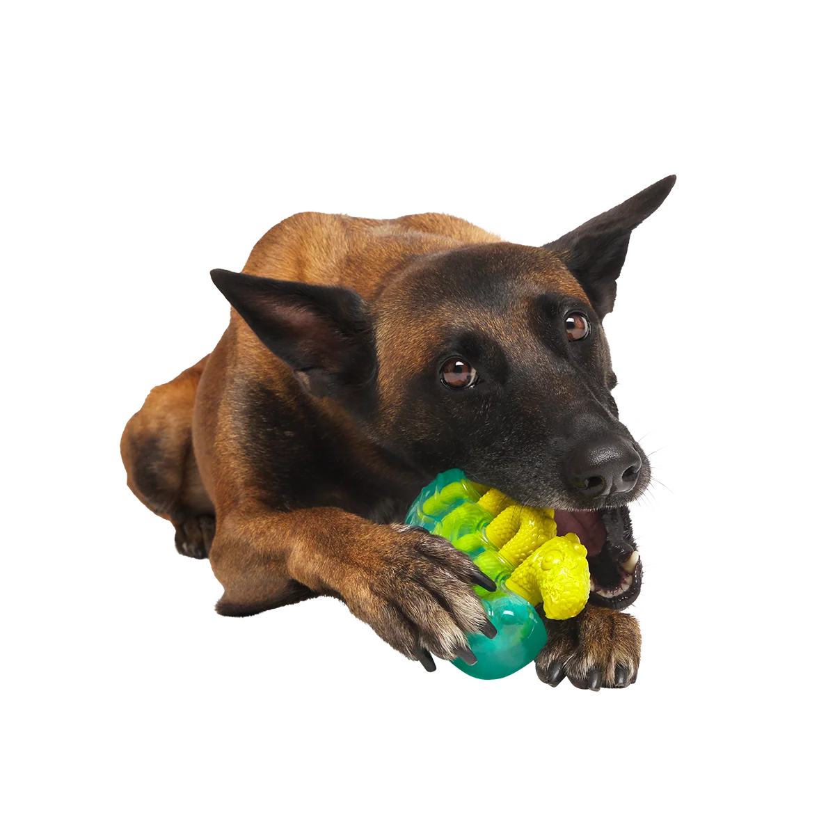 The Dogness Monster Super Chewer Durable Gnaw Dog Toy - Image 4