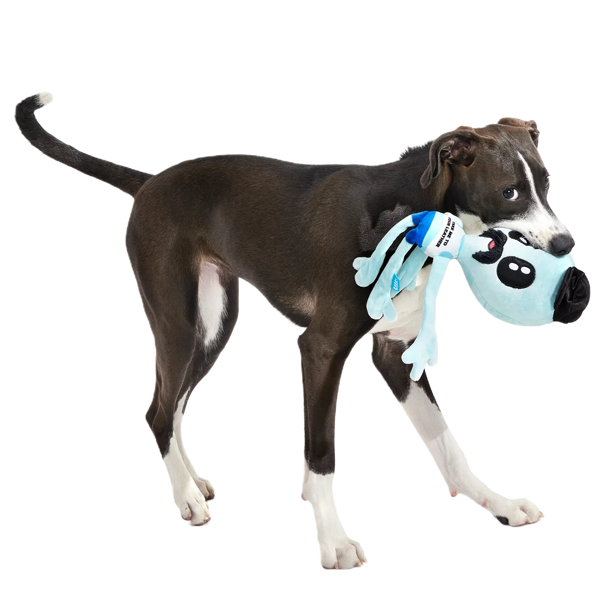 The Gaylien Plush Multi-Part + Tug Dog Toy - Image 5