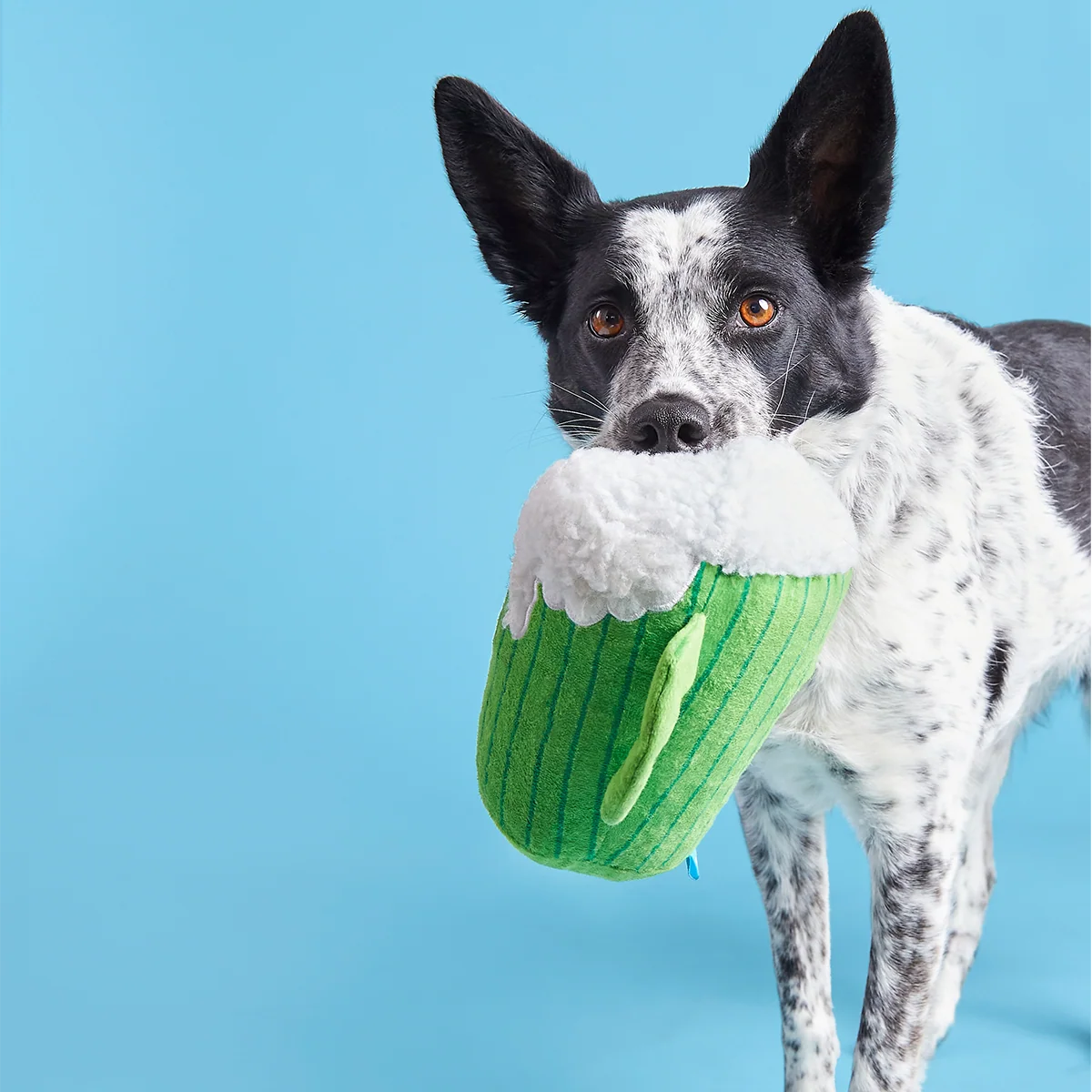 The Glass Is Greener Plush Tug Dog Toy - Image 4