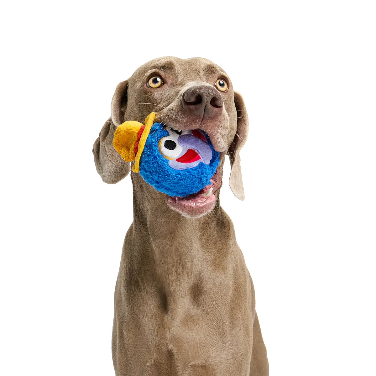 The Great Gonzo as "Charles Lick-ens" Super Chewer Durable 2-in-1 + Fetch Dog Toy - Image 3