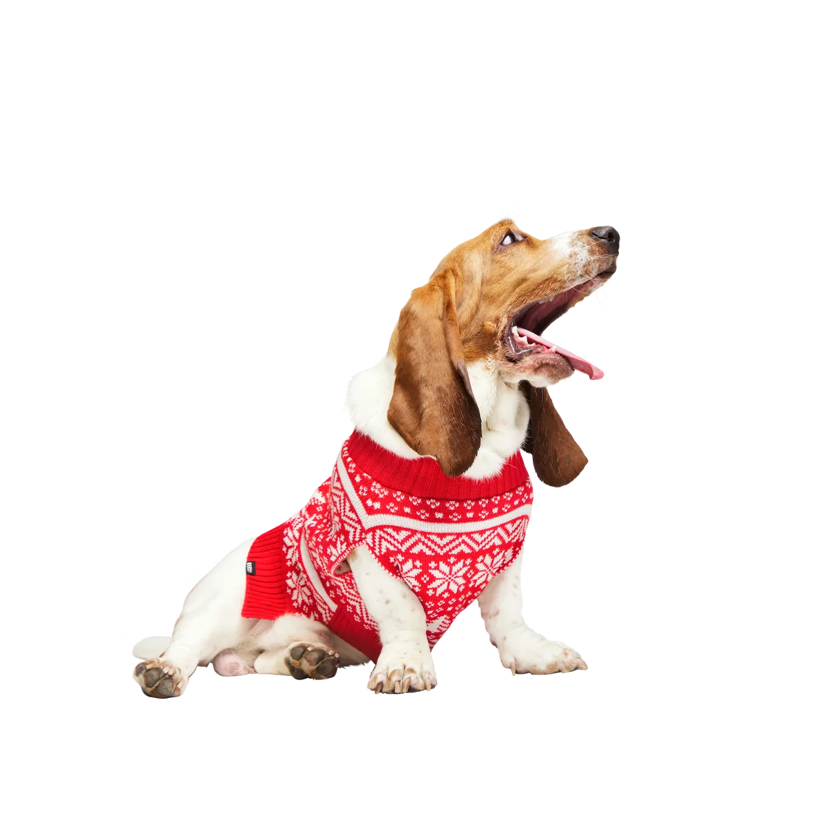 Holiday Sweater Wearable For Dogs - Image 6