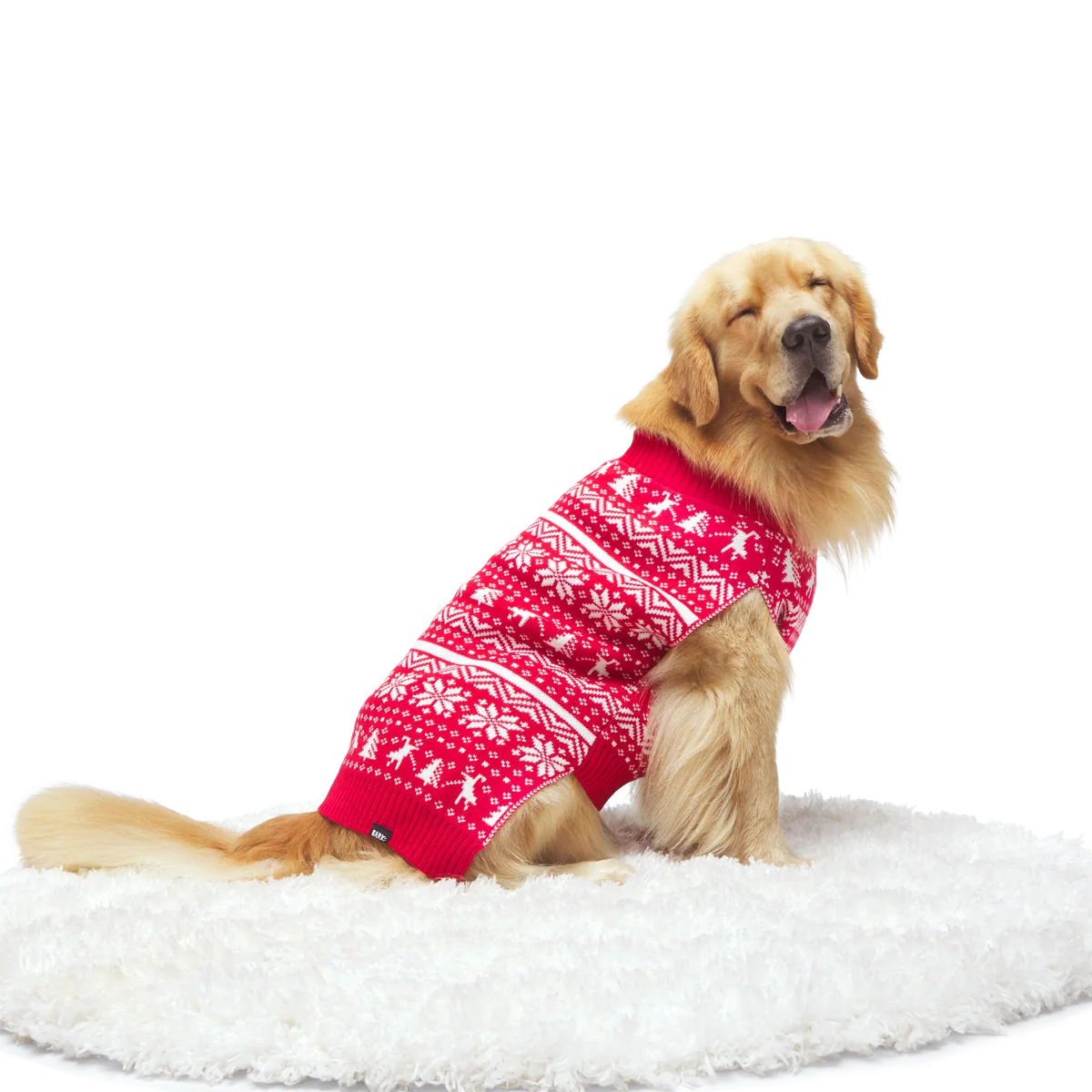 Holiday Sweater Wearable For Dogs - Image 8