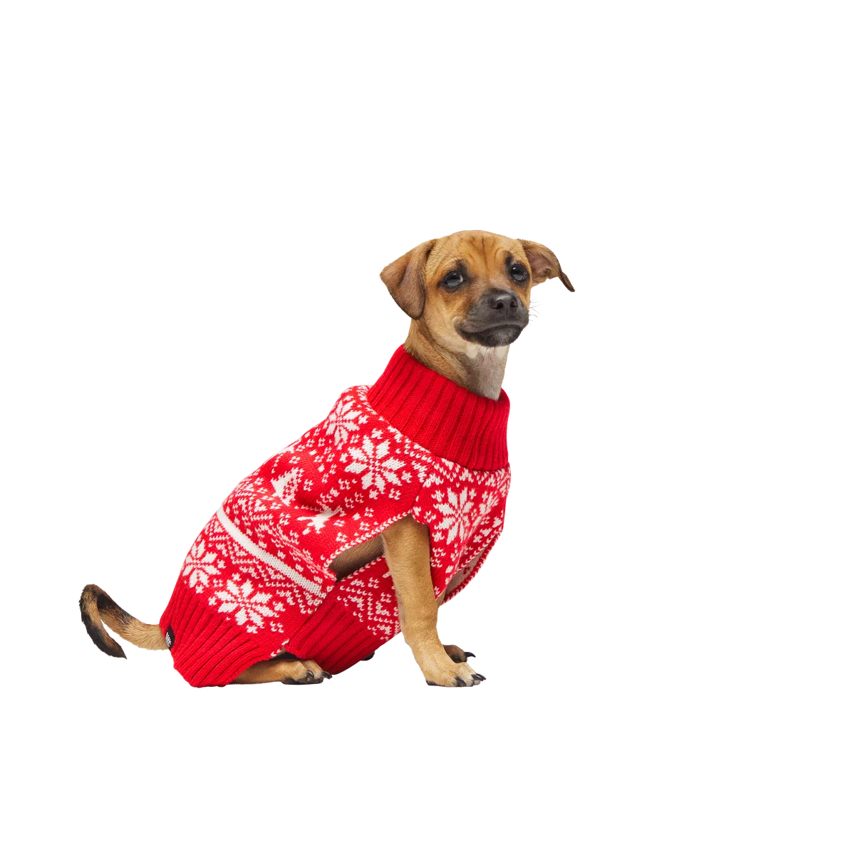 Holiday Sweater Wearable For Dogs - Image 9