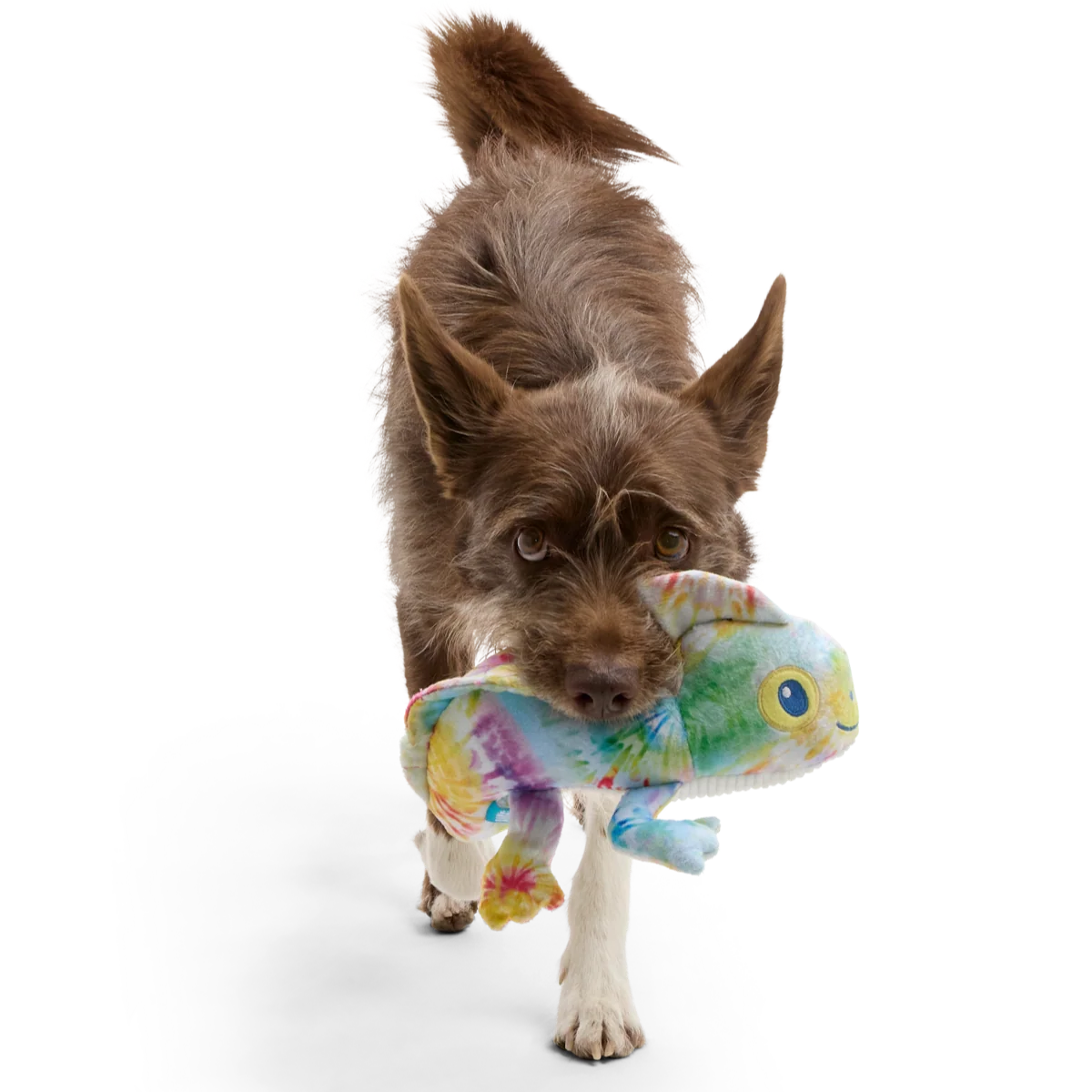 The Lizard King Plush Tug Dog Toy - Image 2