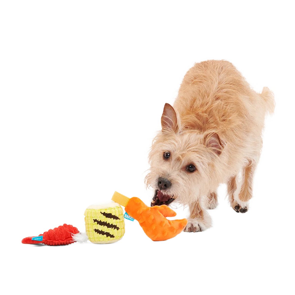 The Maine Event Plush Multi-Part Dog Toy - Image 2