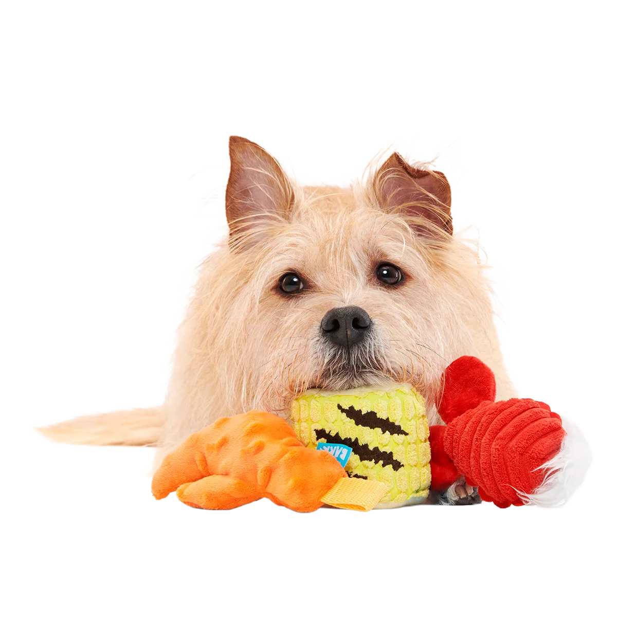 The Maine Event Plush Multi-Part Dog Toy - Image 4