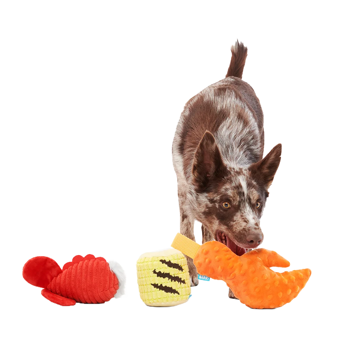 The Maine Event Plush Multi-Part Dog Toy - Image 5