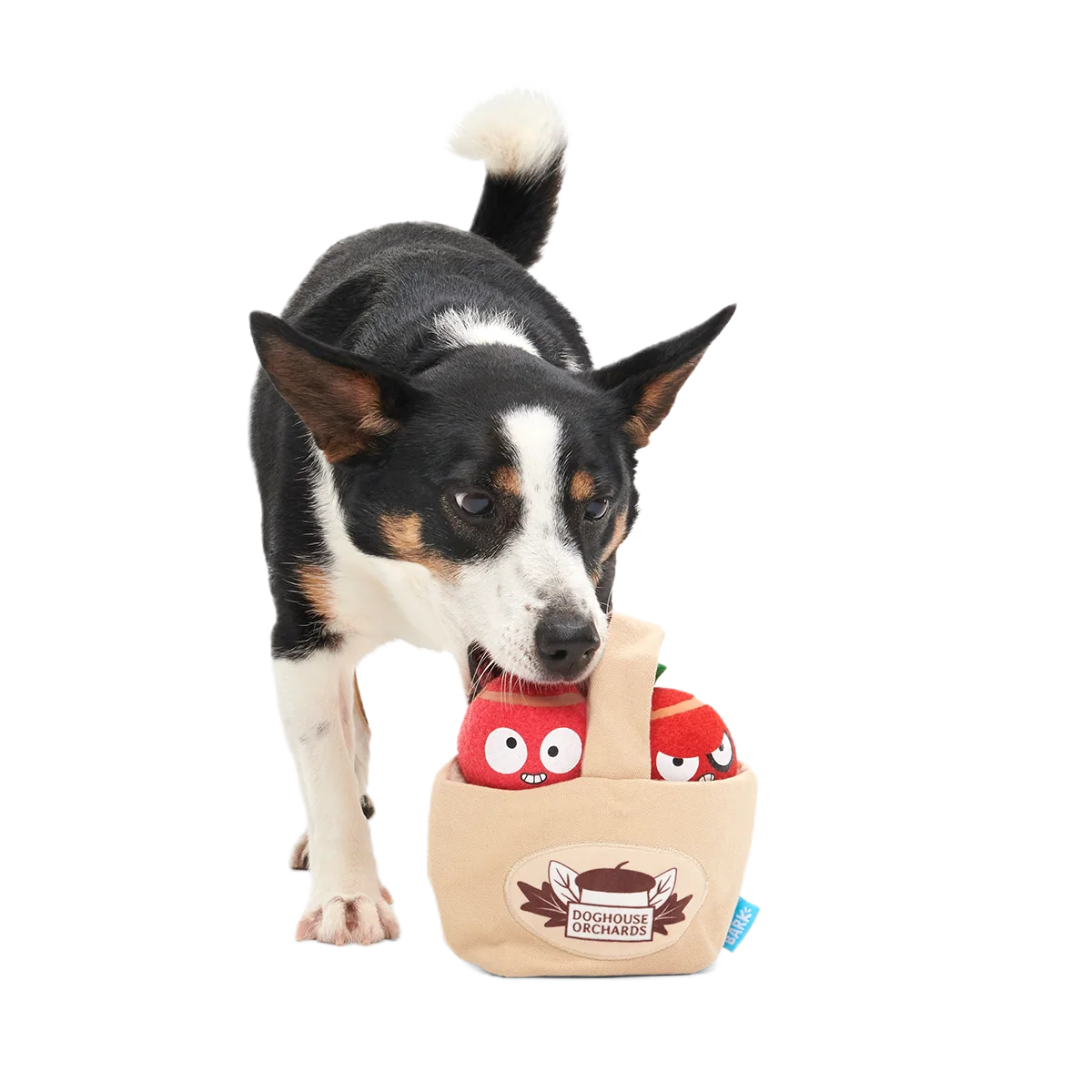 The Munch Bunch Plush Multi-Part + Enrichment + Fetch Dog Toy - Image 3