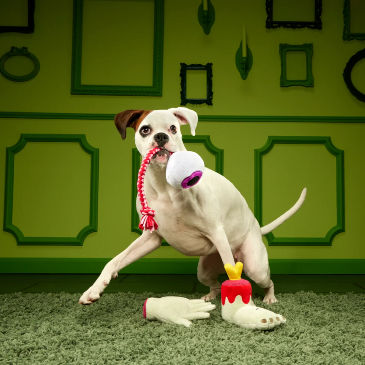 The Part-y Pack Plush Multi-Part + Tug Dog Toy - Image 3