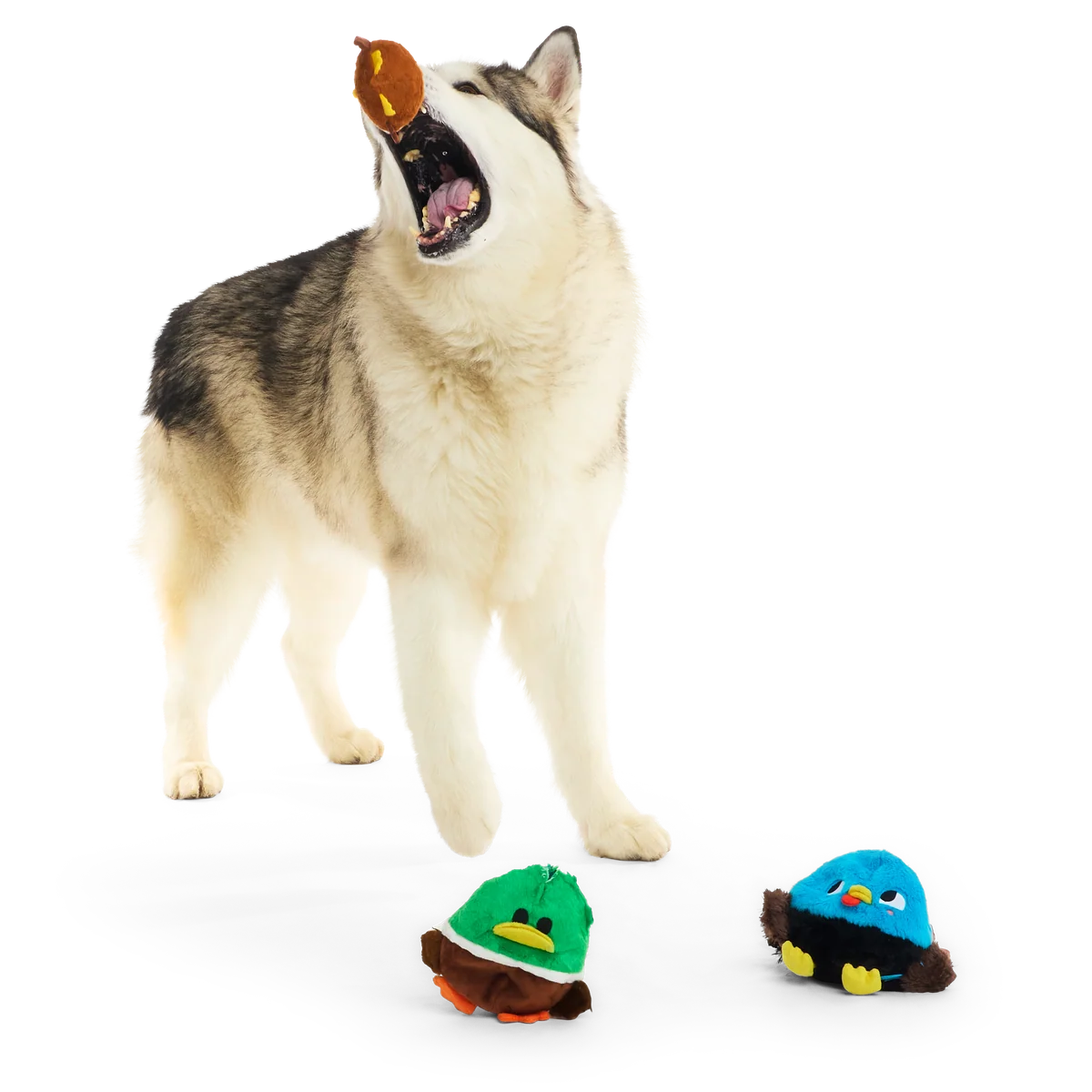 The Pecking Order Plush Multi-Part Dog Toy - Image 8