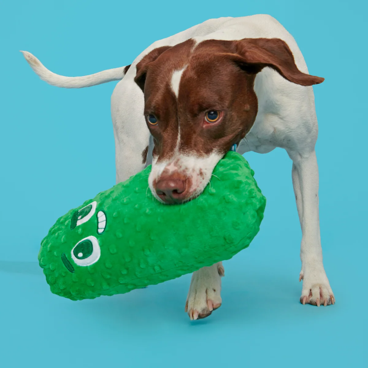 Big Dill Bill Plush Extra-Large + Tug Dog Toy - Image 2