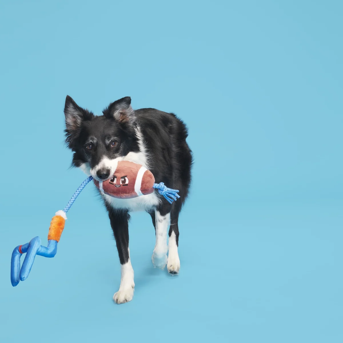 The Whole Canine Yards Plush Tug Dog Toy - Image 5