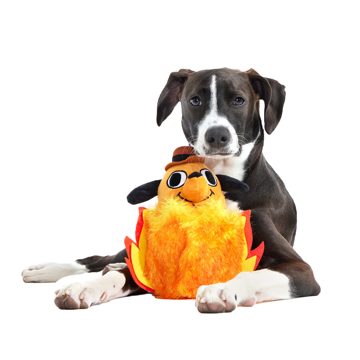 This is Fine Plush Multi-Part + Enrichment Dog Toy - Image 3