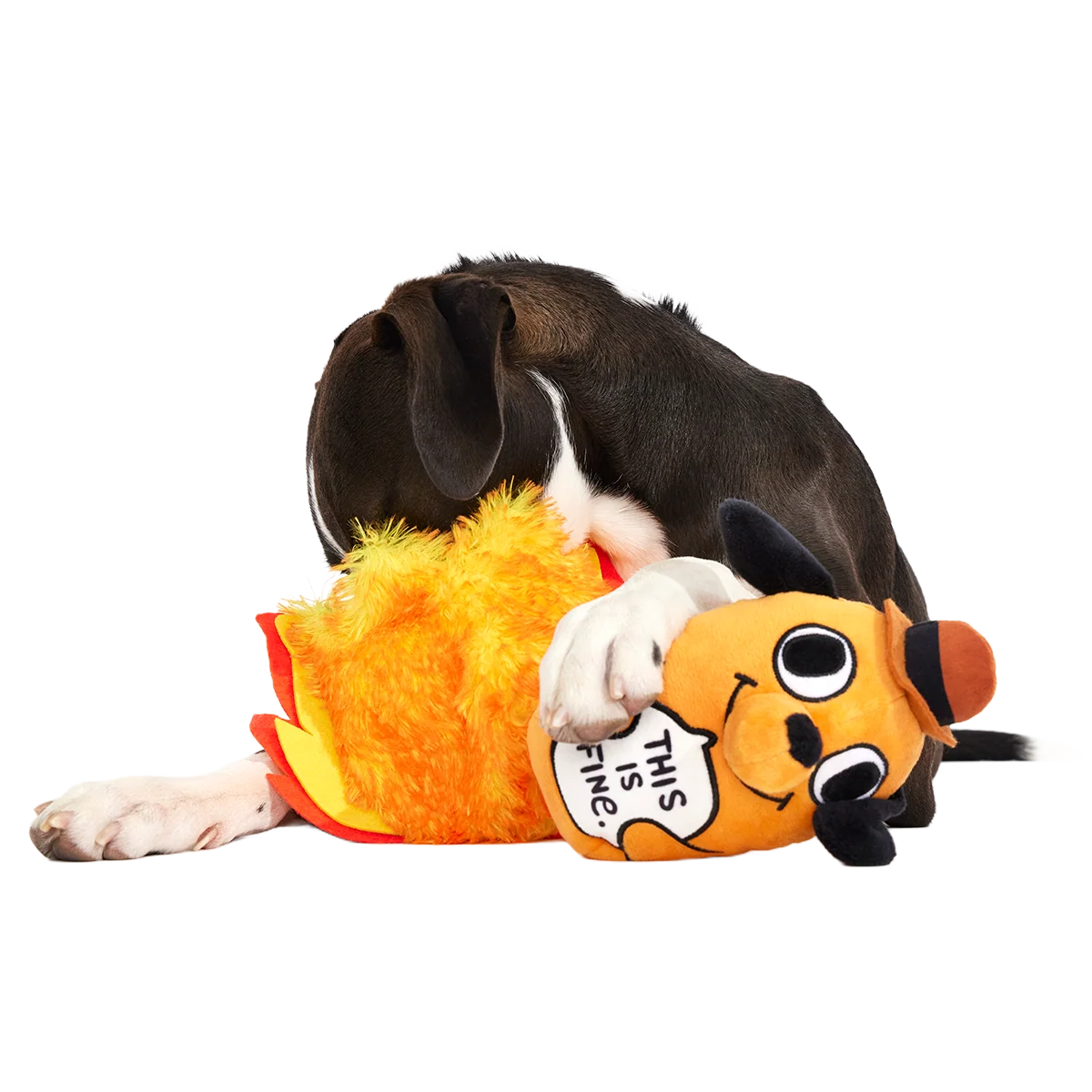 This is Fine Plush Multi-Part + Enrichment Dog Toy - Image 4
