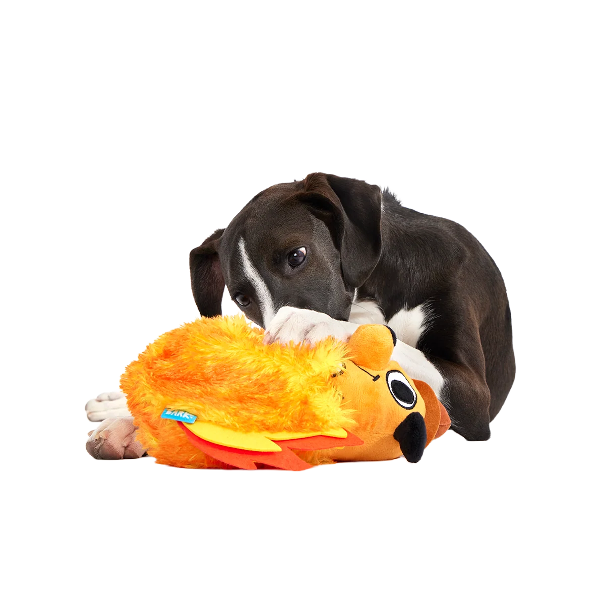 This is Fine Plush Multi-Part + Enrichment Dog Toy - Image 5