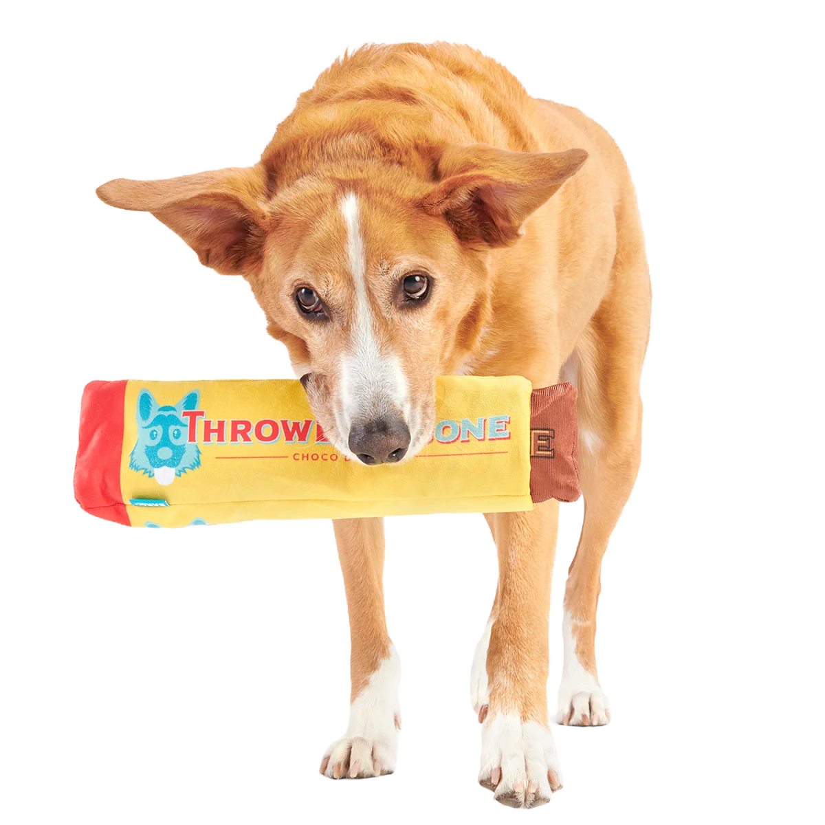 ThrowblerBone Plush Extra-Large + Multi-Part + Enrichment Dog Toy - Image 3