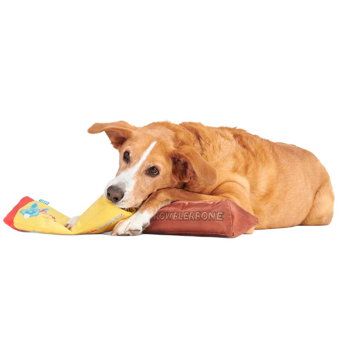 ThrowblerBone Plush Extra-Large + Multi-Part + Enrichment Dog Toy - Image 5