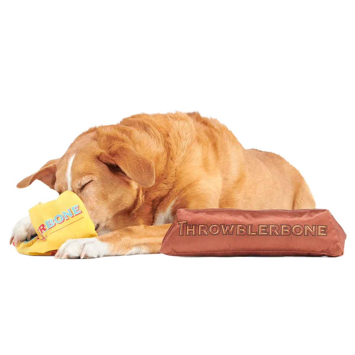 ThrowblerBone Plush Extra-Large + Multi-Part + Enrichment Dog Toy - Image 6