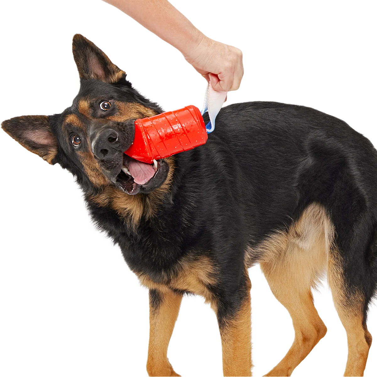 Throwman Candle Super Chewer Durable Tug Dog Toy - Image 5