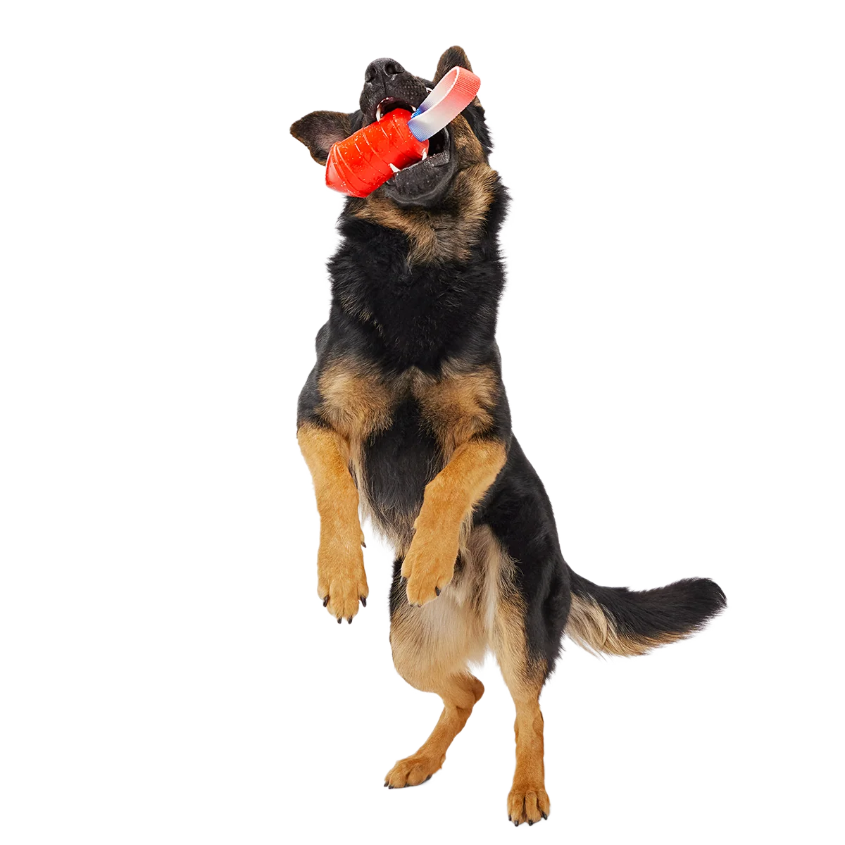 Throwman Candle Super Chewer Durable Tug Dog Toy - Image 6